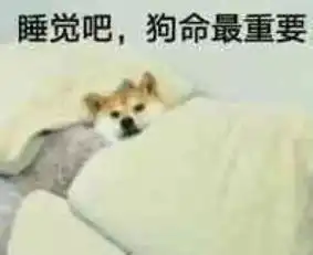 重要事情图片表情包狗命