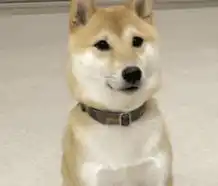  精华养肤补水喷雾丨夏日肌肤赋活之好物