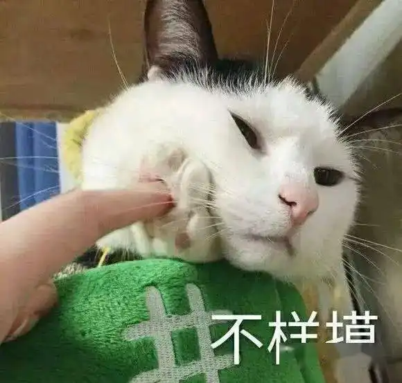  聊天斗图表情包i我快忍不住了
