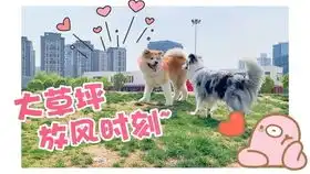  也是懒得做表情管理的狗了,就给我们一个眼神,自行去体会吧tvt
