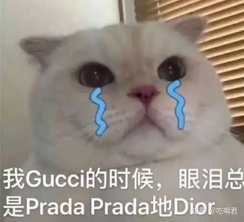  买奢侈品包就是虚荣三十而已告诉你,不同的包,是不同圈层的入场券
