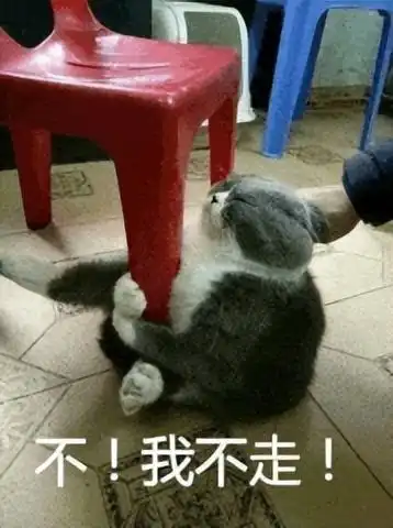 一把抱住表情包萌化
