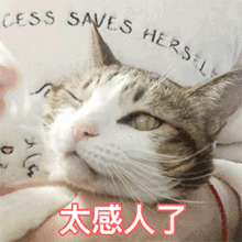  0门槛,1分钟,小白也能轻松掌握的动图拼接技能,学不学