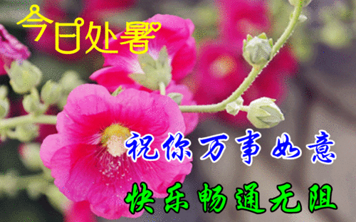  处暑早上好问候祝福动画表情图片包处暑节气早安问候祝福语动态图片表情精选