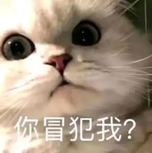  猫猫表情包六