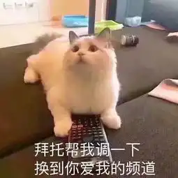  助姐教你如何打败呱儿子