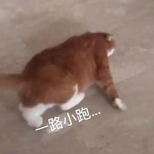  吃火锅时抠脚是什么操作这种人最好自觉吃火锅底料去