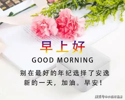 动漫表情包动态图片球包