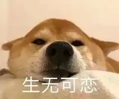 钞票图片表情包出油