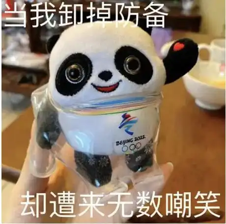 表情包大林林墩
