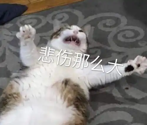 蛋蛋君表情包有人