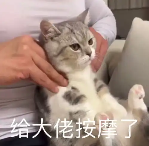 乖表情包的意思守夜