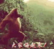  晚上好表情