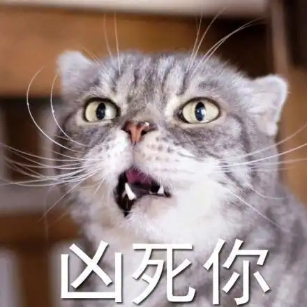  猫咪被打的时候,除了报复你,还会这样想