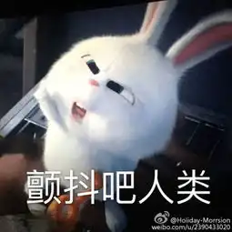  求电影爱宠大机密里,那只兔子的表情包