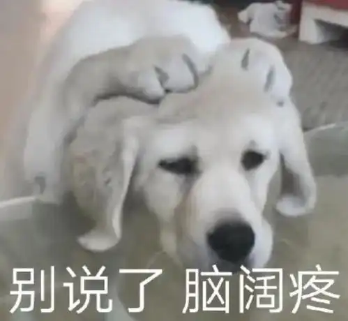  啊停更小米昨天这瓜,有点突然啊