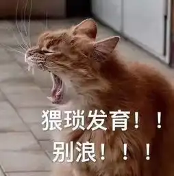  一大波小猫咪表情包萌萌哒动态图