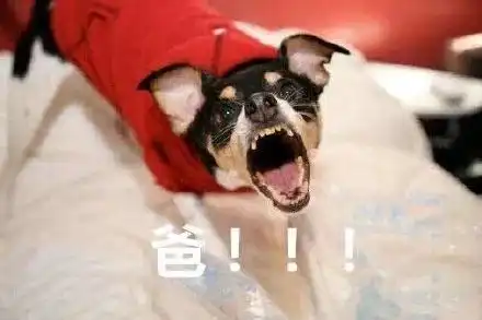 表情父亲节表情包