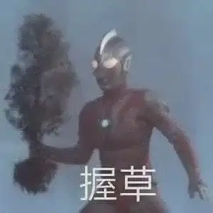  这剧干脆别穿衣服了