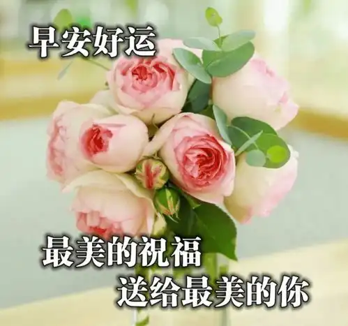  中老年表情包,夏天天气炎热,晴雨多变,出门记得带伞生活
