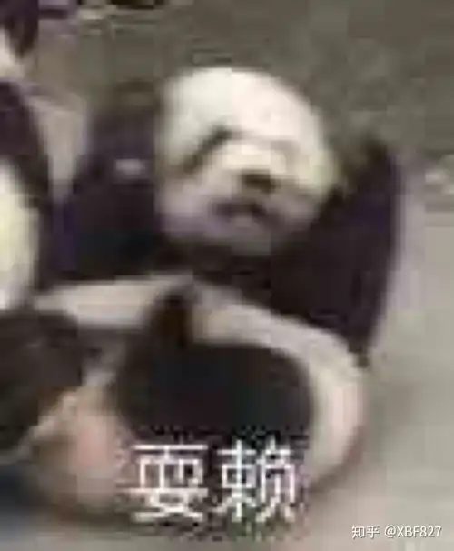  网恋奔现后发现对方长得很丑怎么办
