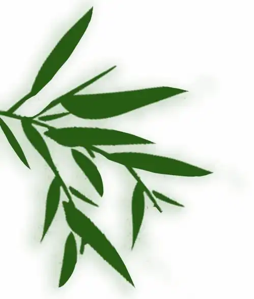  包粽子赛龙舟...端午节景区活动来啦