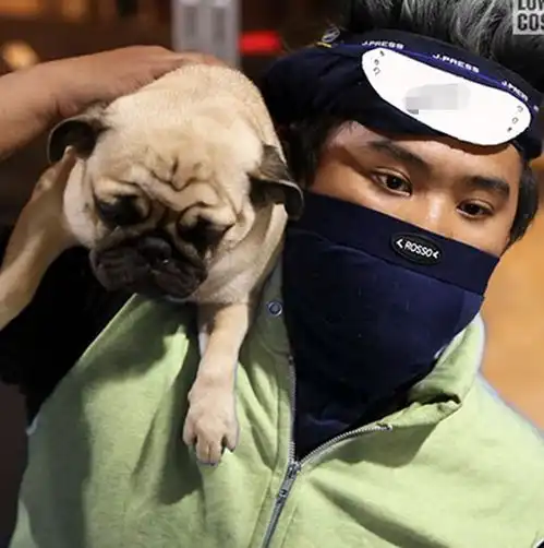  泰国小哥这次cos的搭档不用猫了,看到可爱的小狗,网友懂了