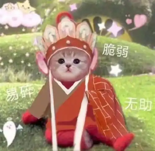 毕业总结,人生展望