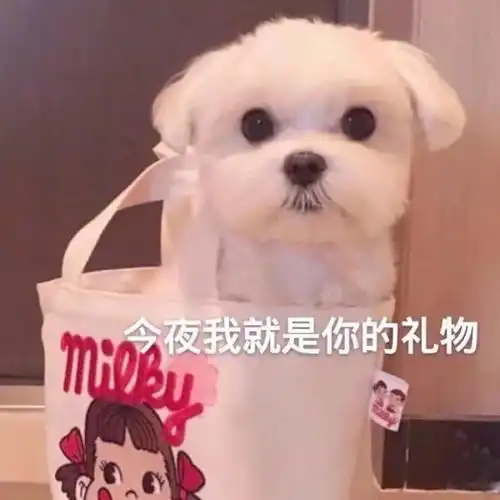  女生谈恋爱后会有的5个变化