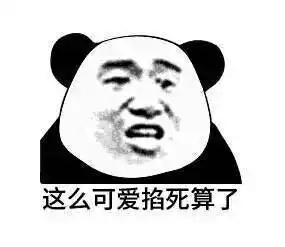  有钱没钱回家过年图片表情包我要许愿表情包下载乐游网游戏下载