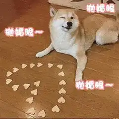  情侣互动必备表情包你的小可爱已上线,收到了我的爱心了吗
