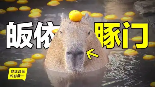  水豚情绪稳定,为什么它有治愈心灵的魔力四种猜想