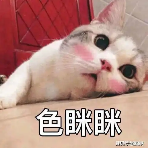  绿帽子表情包吓到腿软