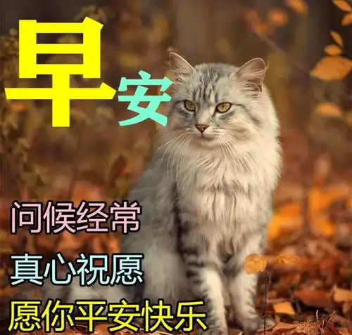  2023年2月26日大家早上好,最漂亮早上好动态表情图片大全
