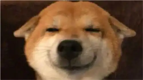  笑笑视频给你欢乐