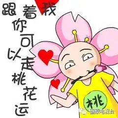  六盘山山花节看直播,明天主播带您去彭阳梯田花海