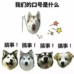  你是一条傻狗表情包