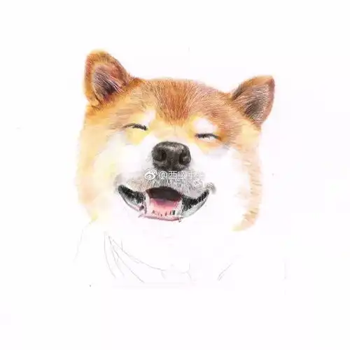  彩铅步骤临摹画一只表情包狗狗