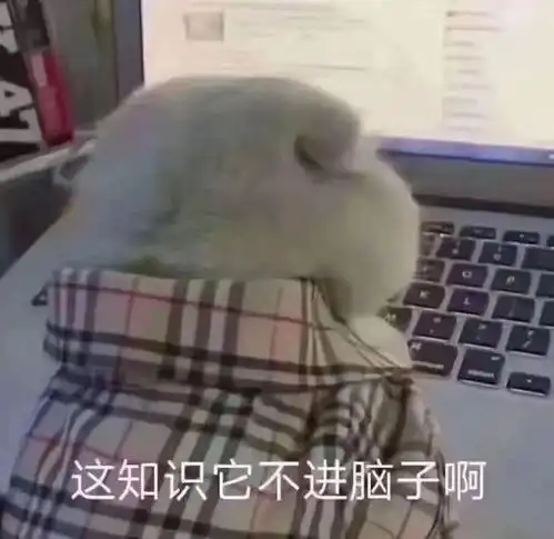  主播和观众的养成之路网课初体验
