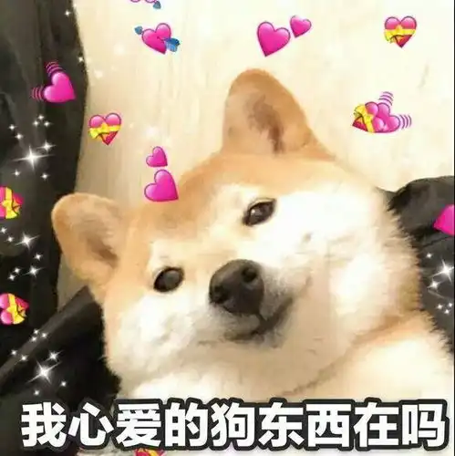  有没有可爱的适合女生发动态的表情包