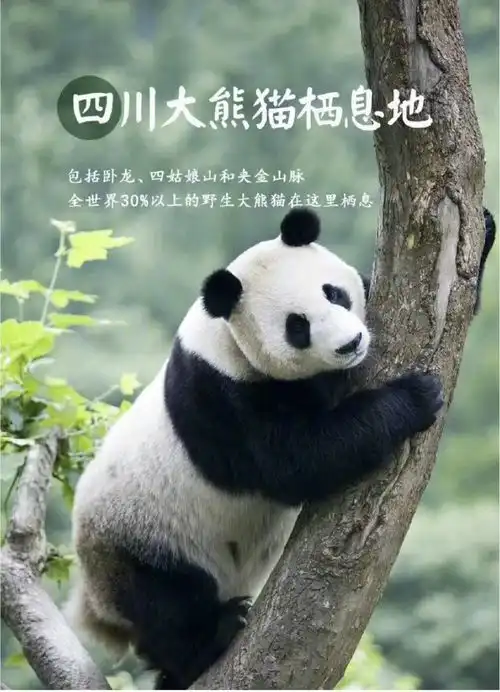  北京中轴线申遗成功中国59项世界遗产,今生必逛完