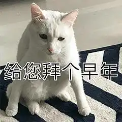  大尾巴狼的相册表情包丑白毛33