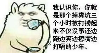  有没有和这个图片差不多的发给我