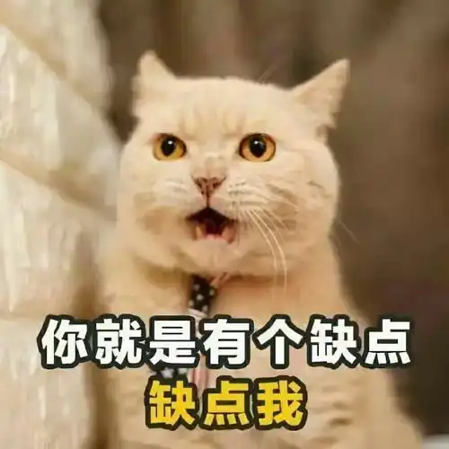  关于他
