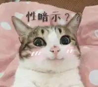  这个猫咪表情图求个高清