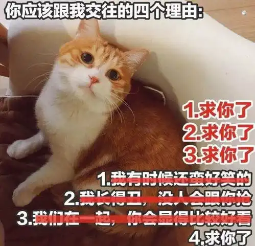  广财表白墙338期你是耀眼的星河