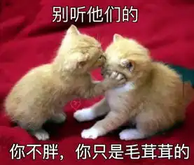  孕妇最怕的妊娠纹应该怎么办