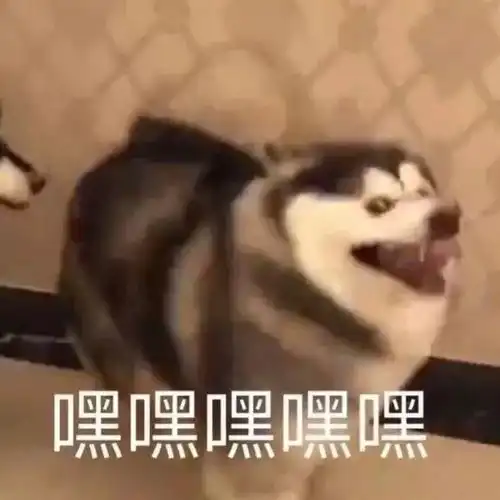  超可爱沙雕表情包