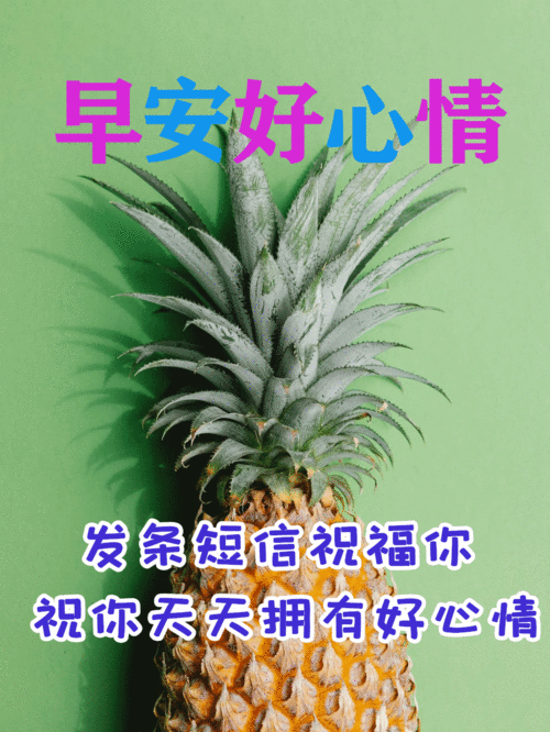  4月25日最漂亮早上好动态表情图片大全,早晨好动图美图大全