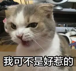  谁有这只猫咪的表情图啊,发我